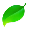 Coda 2 icon